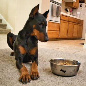 Meet your Posher, Sergio